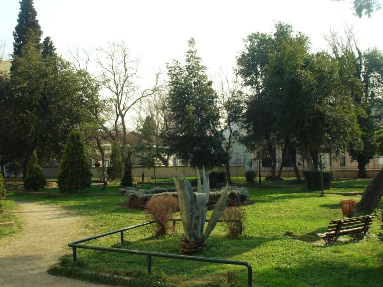 Aristotle University of Thessaloniki campus grounds